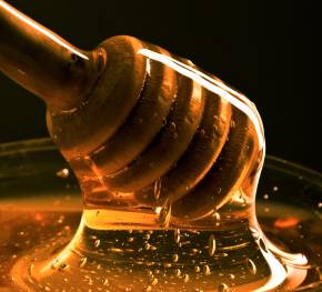 Le miel et ses avantages dans le soin des plaies