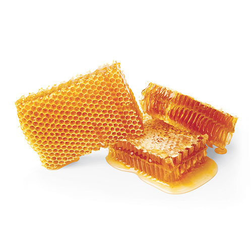 Pansements et soins au miel